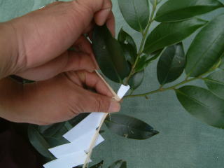 玉串・献花とは？玉串奉奠と献花の作法を解説コラム神戸・西神・阪神の家族葬 お葬式 平安祭典