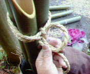 門松 梅結び 結び方TikTok