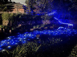 関西の夏祭り2025屋台・イベントなど人気のお祭り日程一覧 トラベルコ