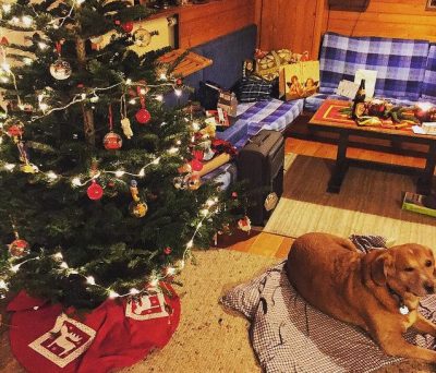 クリスマスにまつわる面白い雑学 知らなきゃ損！驚きのエピソード15選🎄✨役に立つ雑学プチ知識shorts - YouTube