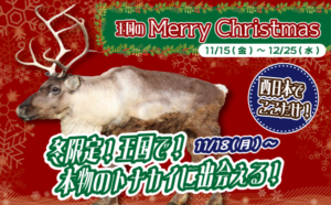 誰に？どの順番で？宴会の挨拶と乾杯、知っておきたいマナー術 - ぐるなび みんなのごはん