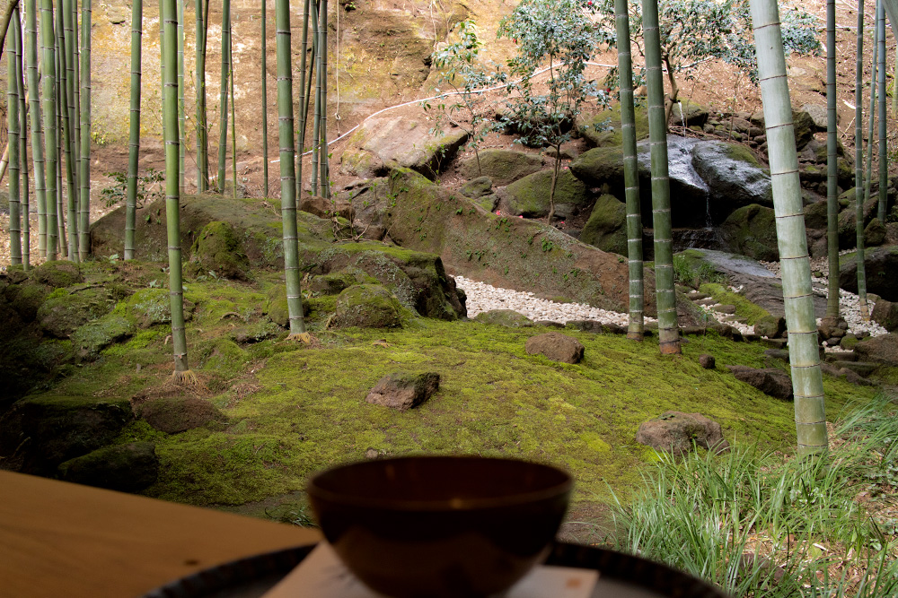 鎌倉 報国寺の竹の庭はミシュラン三ツ星のパワースポット地球で遊ぼう、気まま旅