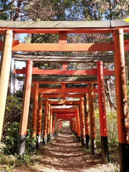 全日本旅オブザイヤー委員会さん・白赤稲荷神社の発見レポ