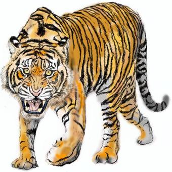 切手・趣味の通信販売スタマガネット 昭和37年用年賀「張り子のトラ」 単片 : 日本切手