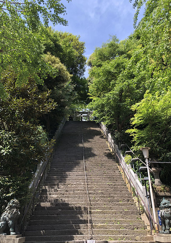 出世の石段の先には桜満開の愛宕神社。そして麻辣刀削麺 : 日本の100名城と美しい神社を巡る旅人