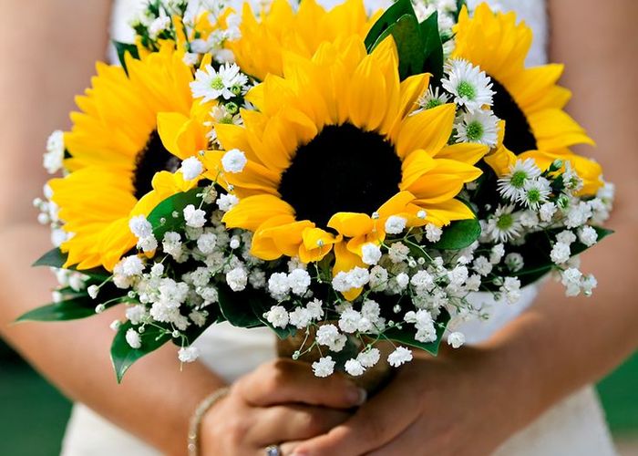 福島県の牧野ひまわり畑で心温まる「ひまわり結婚式」開催！幸せのお福分けをしたいという新郎新婦募集中！！最幸のひと時を一緒に過ごしませんか？特定非営利活動法人チームふくしまのプレスリリース