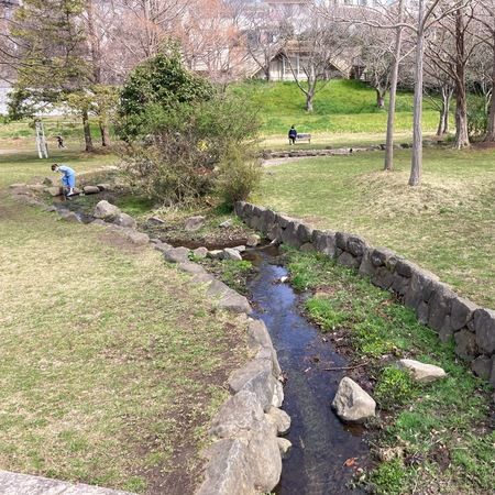 船橋市議会「あなたの想いが込められた、船橋らしい1枚」をご紹介します！ 祭り・イベント