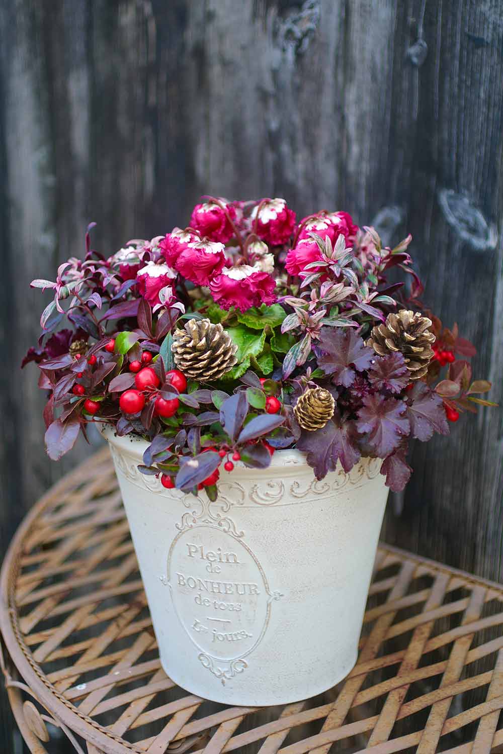 初心者におすすめのクリスマス寄せ植えアイデア