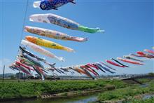 こどもの日 今日は、毎年恒例となっている平塚の鈴川鯉のぼりまつり へ！ 快晴の中、鯉のぼり が気持ちよさそうに壮大に泳いでおります。会場は多くの子ども達で賑わい、出店も多く盛り上がっておりました。 息子と来たのは今年で3回目。 その後は実家に行き、五月