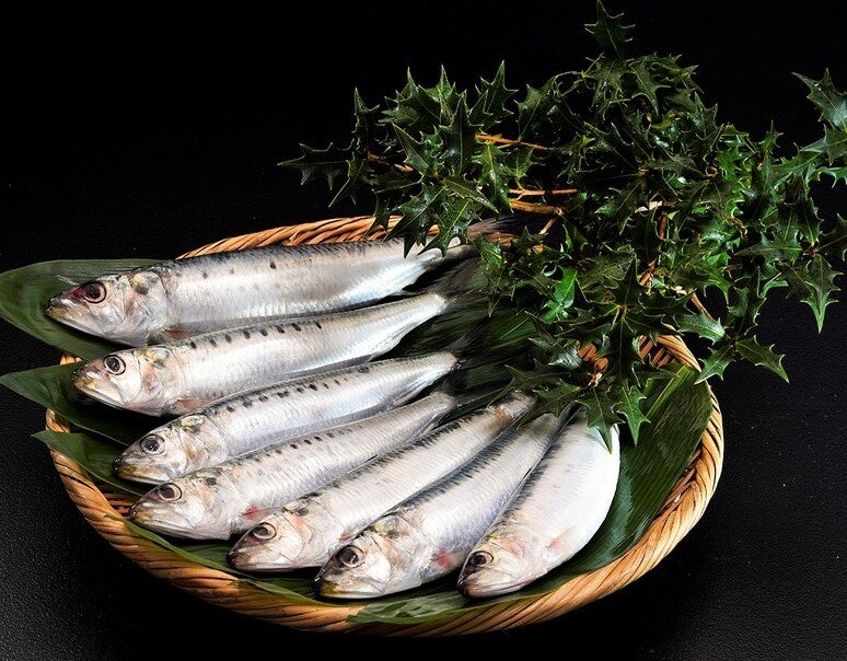 ひいらぎいわし 意味・由来 節分飾り 魔よけ