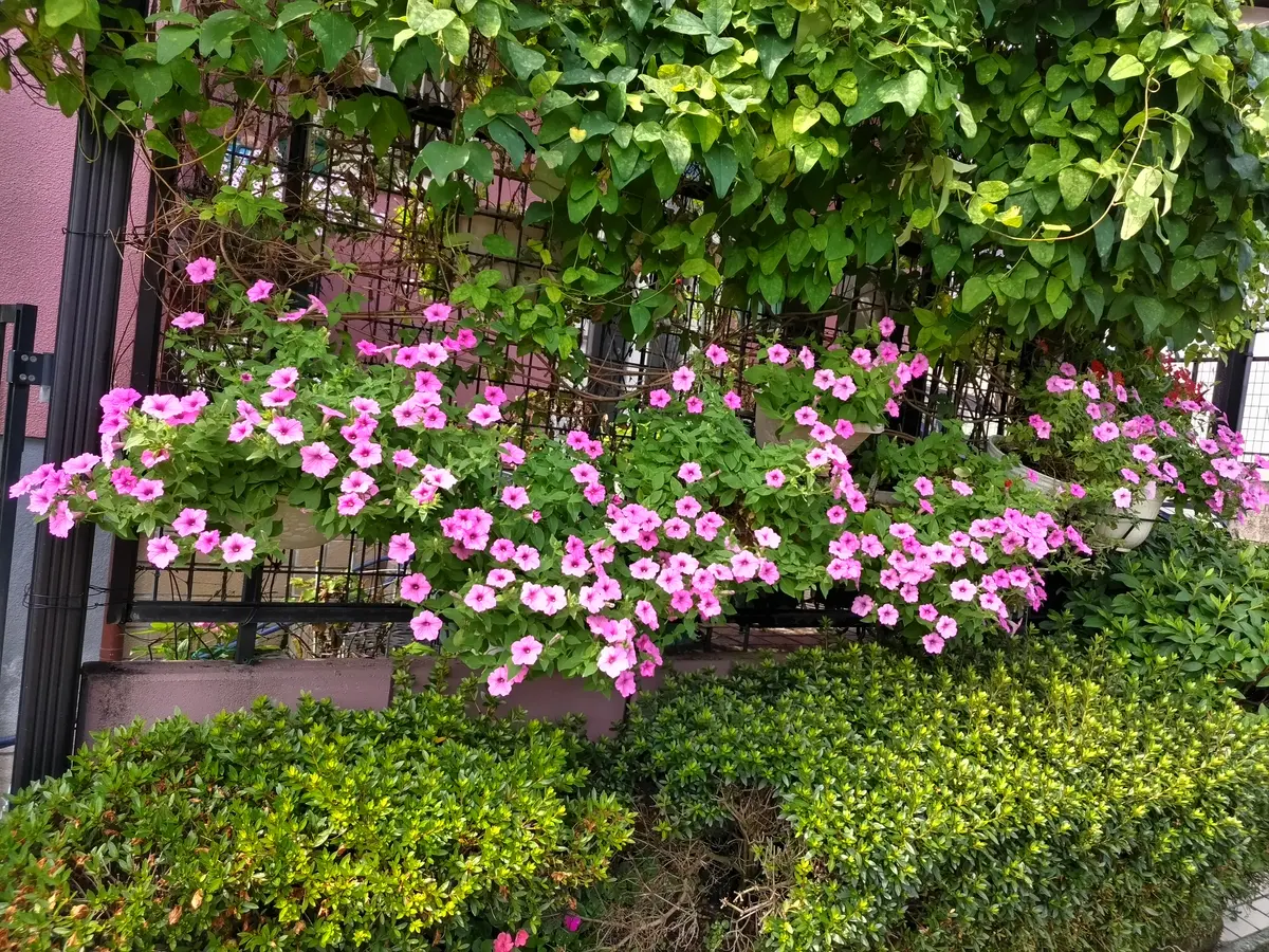 LINE七夕情人節貼圖整理：26款免費情人節快樂貼圖免費下載- 瘋先生