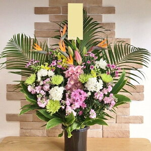 見本付き 胡蝶蘭を贈る際の立札とは？書き方・立て方を解説花・花束を贈るフラワーギフト通販の 日比谷花壇 公式