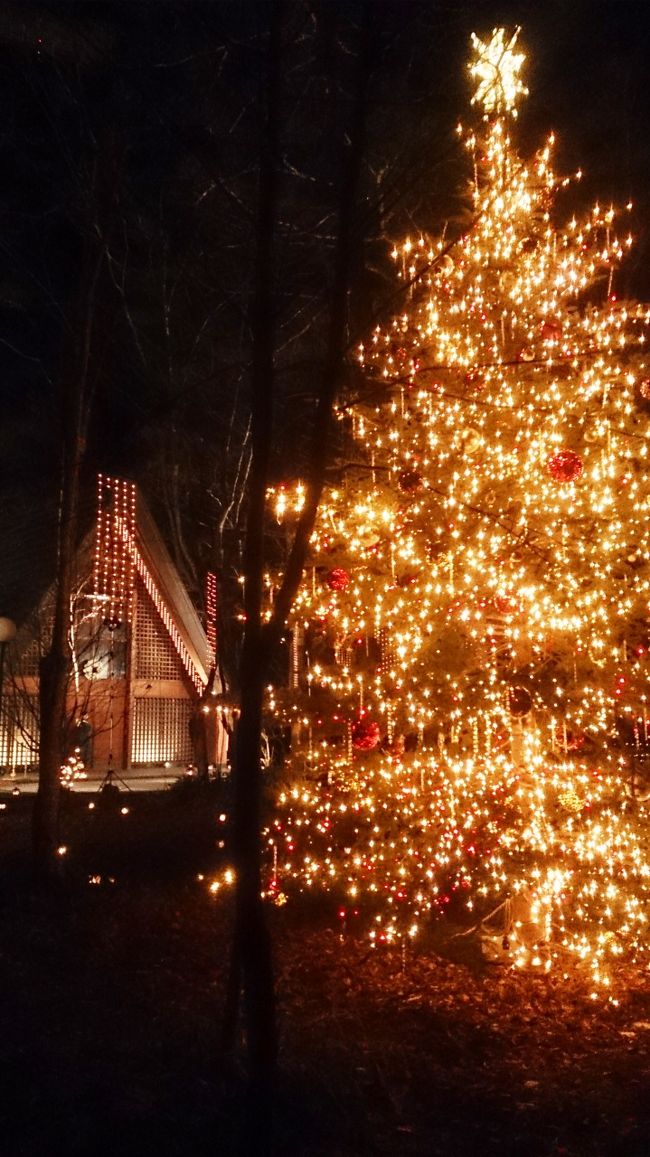 やどりぎが灯る幻想の夜「軽井沢星野エリアのクリスマス 」 2024 - 軽井沢星野エリア森が、居場所になる一日