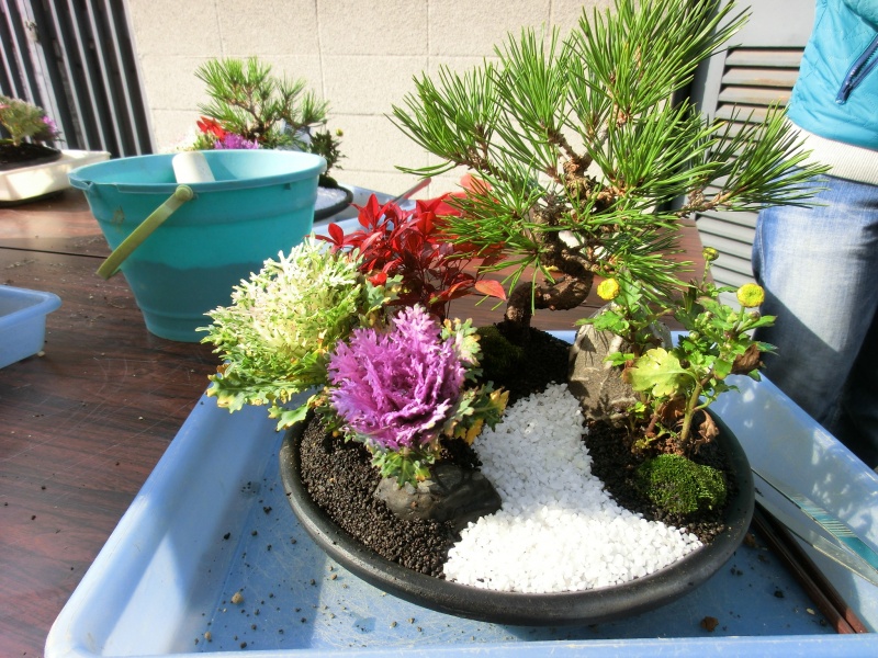 玄関向き お正月寄せ植えお花と緑のお店 みやざき 宮﨑園芸店