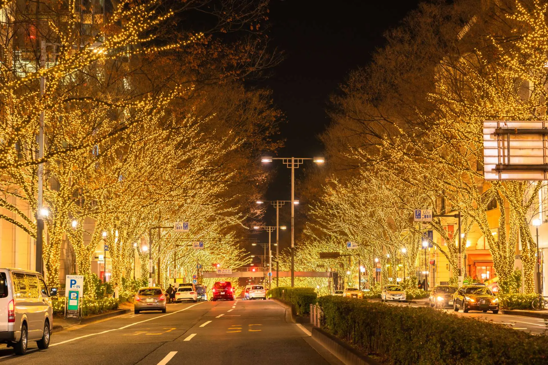 東京の冬を彩る人気イルミネーションイベント11選GOOD LUCK TRIP