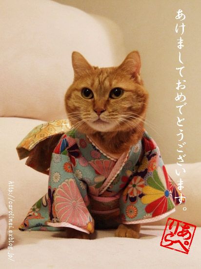 あけおめ画像 2025年無料！年賀状スタンプやLINEに。あけましておめでとうイラストstamp party スタンプパーティ LINE