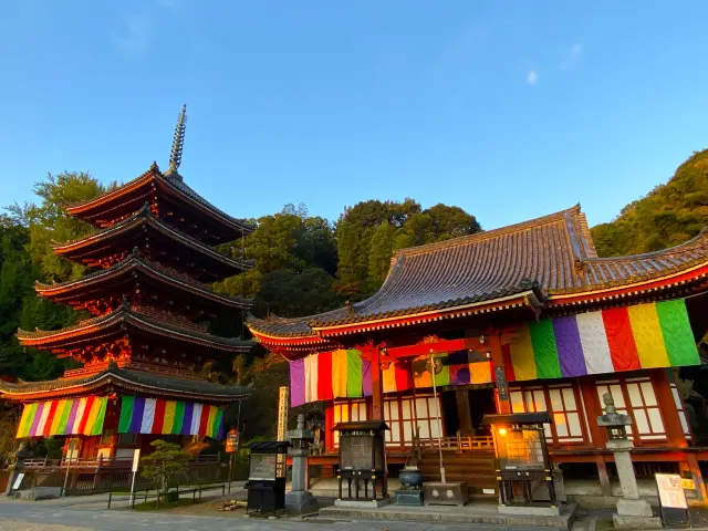 中国・四国地方 初詣におすすめ！2025年巳年の今年お参りしたい弁財天様や蛇神様・金運アップの神社やパワースポット一覧│神社名・アクセス・ご利益・注意点・御守り小顔＆骨盤矯正サロンkinoe