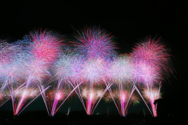 前橋花火大会 2025 駐車場 チケット 駐車券 敷島公園