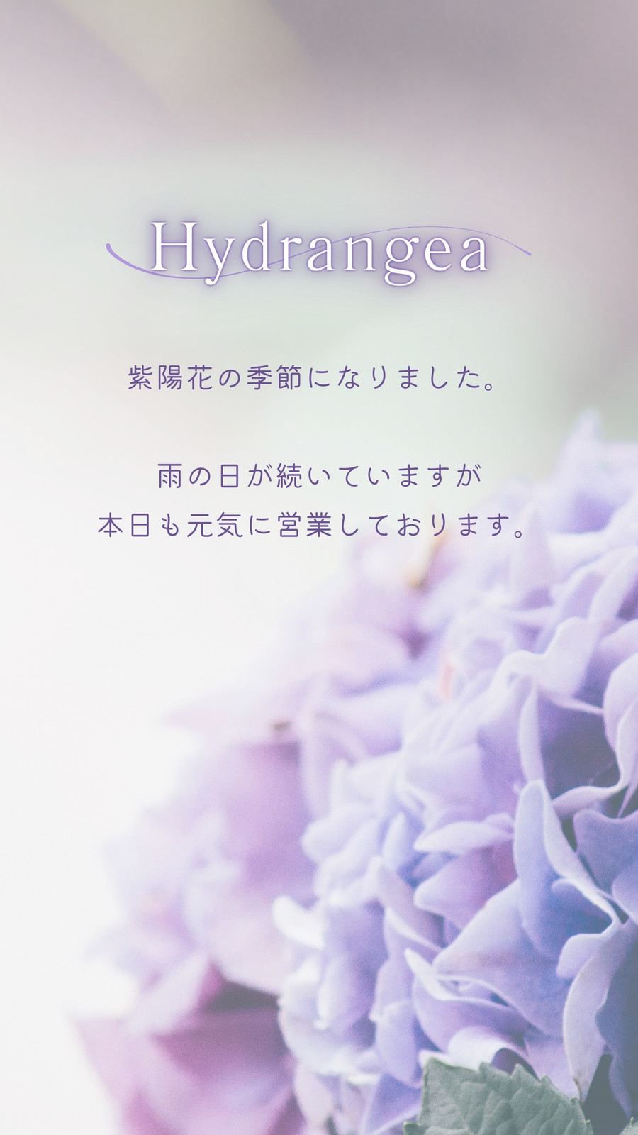 時候の挨拶 6月例文あり 上旬・中旬・下旬