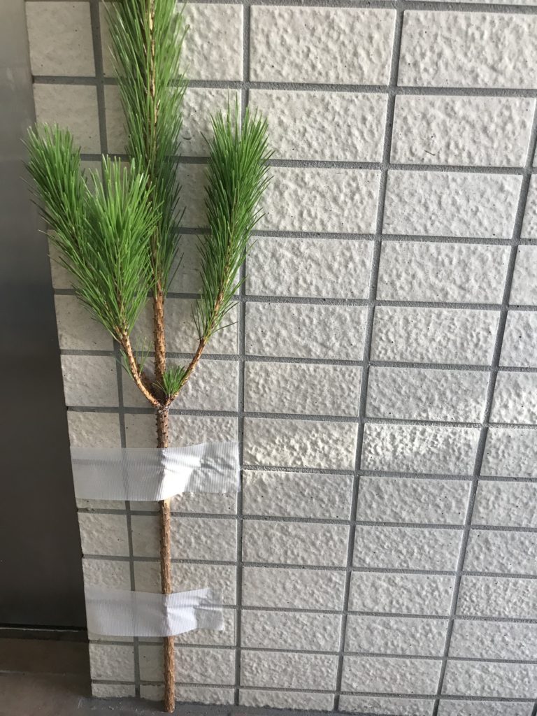 門松にはオスとメスがある？☆門松の飾り方とその意味☆岐阜 フラワーアレンジメント教室 chouchouシュシュ