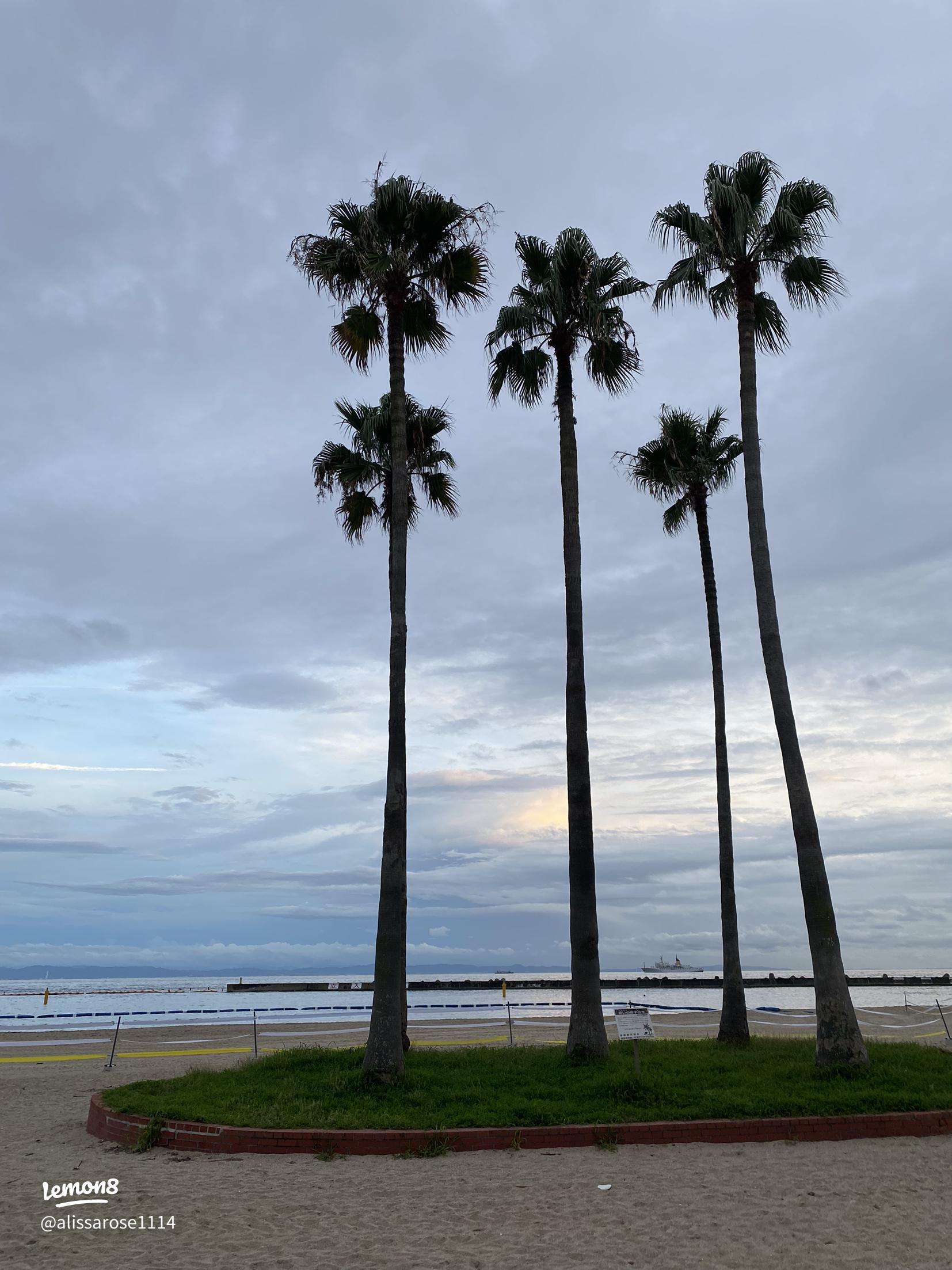 釜磯海水浴場遊佐鳥海観光協会