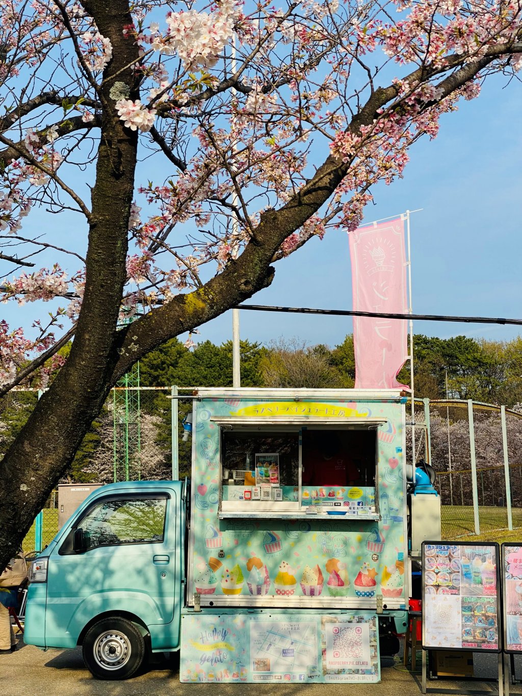 愛知・東海市で桜まつり開催！光と音で楽しむ、夜桜のライトアップに注目!!ウォーカープラス