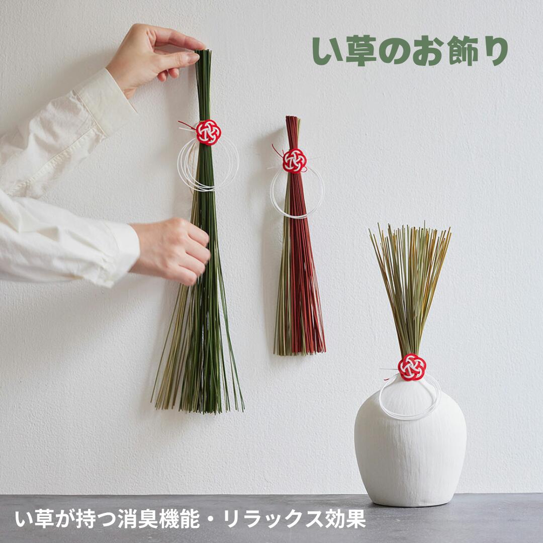 コスパ最強のお正月生け花を生けてみました！ 100円ショップのアイテムを花器にしたお正月生け花をご紹介しています。 Youtube、ぜひご覧ください。松ピンポン菊センリョウパラドフアスチルベお正月お正月生け花コスパDAISO生け花いけばな華道