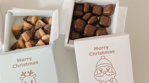 ペパクラ「トナカイ」幼稚園・保育園の先生が読むパステルIT新聞