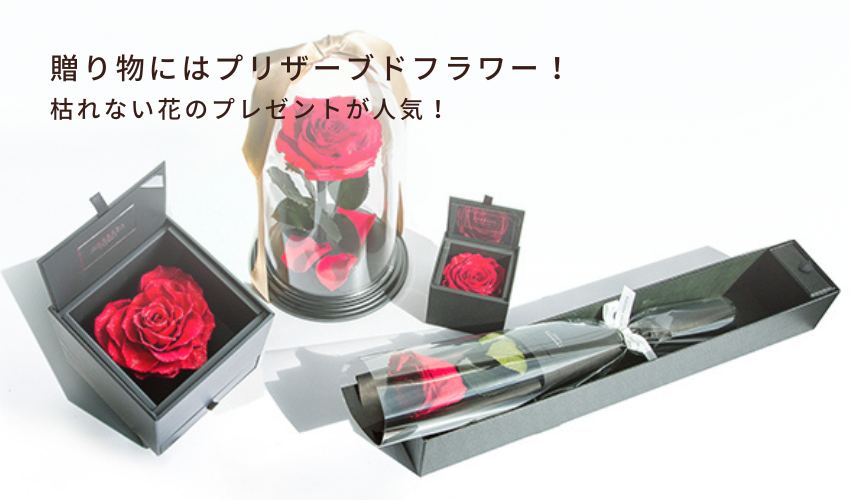 プリザーブドフラワー 水やり不要で枯れない魔法の花エーデルワイス 花の贈り物フラワーギフト通販 花宅配 水戸市