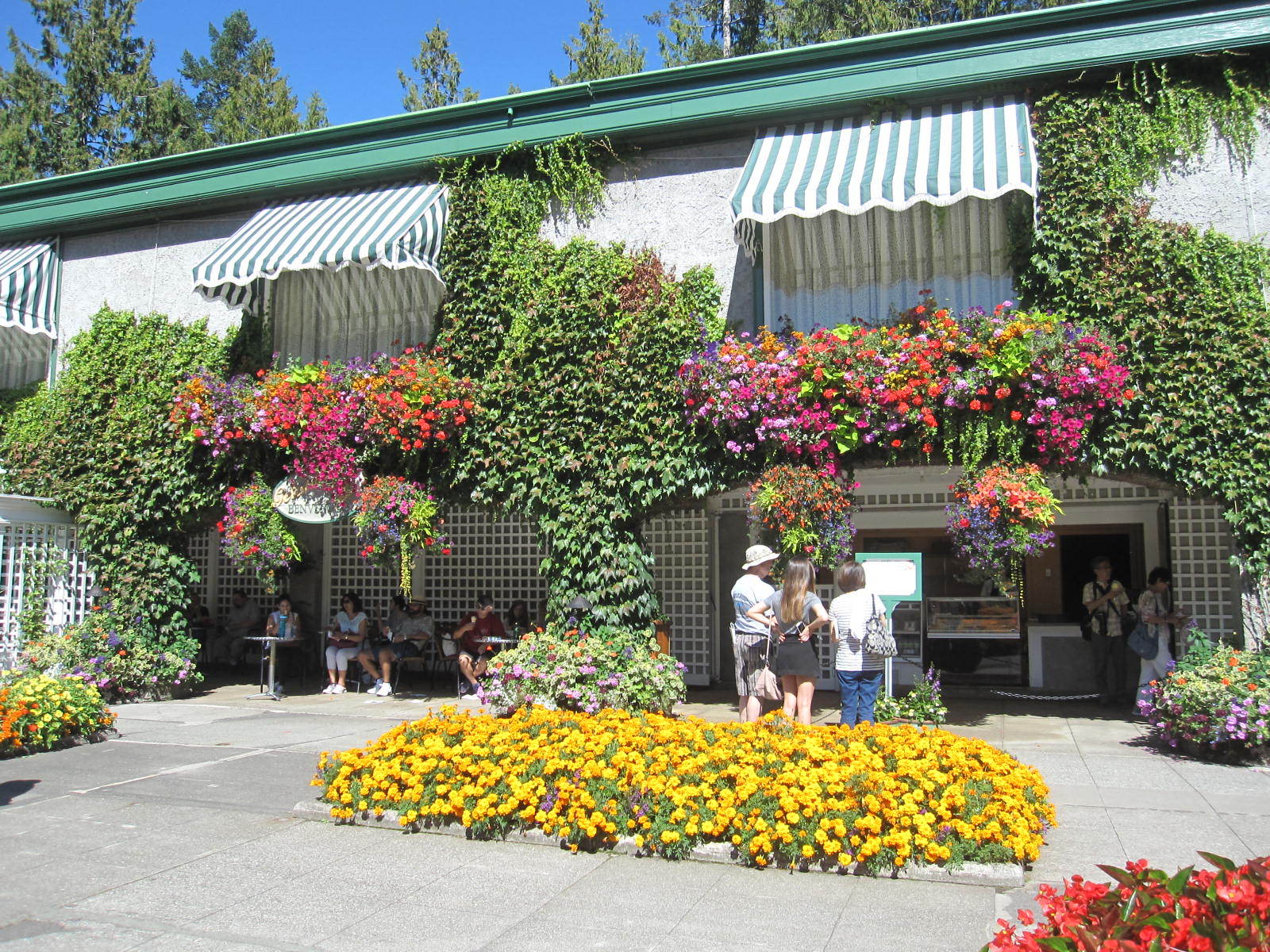 カナダDay5〜ブッチャートガーデン〜愛犬シフォンと田舎ライフ