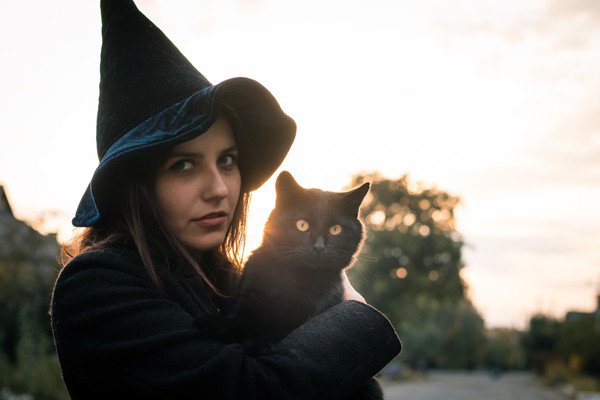 知ってた？ 黒猫ってとってもフレンドリー！ねこのきもちWEB MAGAZINE