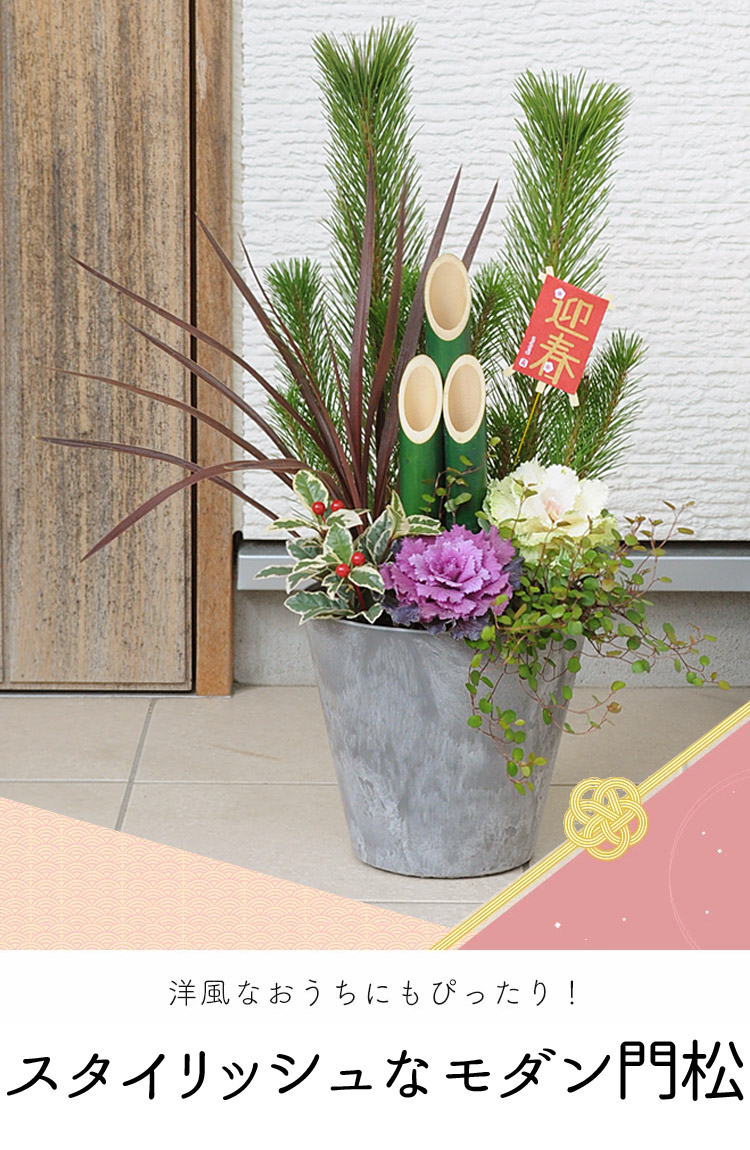 モダンな門松を設置いたしました！ アゴーラ 京都四条のお知らせ - 宿泊予約は＜じゃらん＞