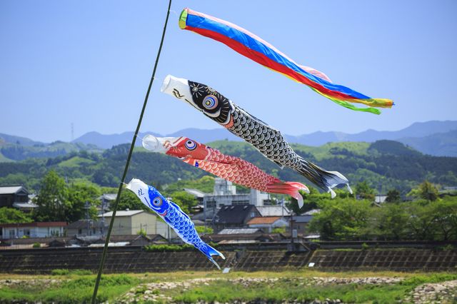 リュウコドウ 鯉のぼり 室内用 おしゃれ コンパクト こいのぼり 五月人形 ちりめん 兜 スタンド金襴鯉のぼり 大 端午の節句 初節句 子供の日龍虎堂 : 出産準備赤ちゃんまーけっと - 通販 - Yahoo!ショッピング