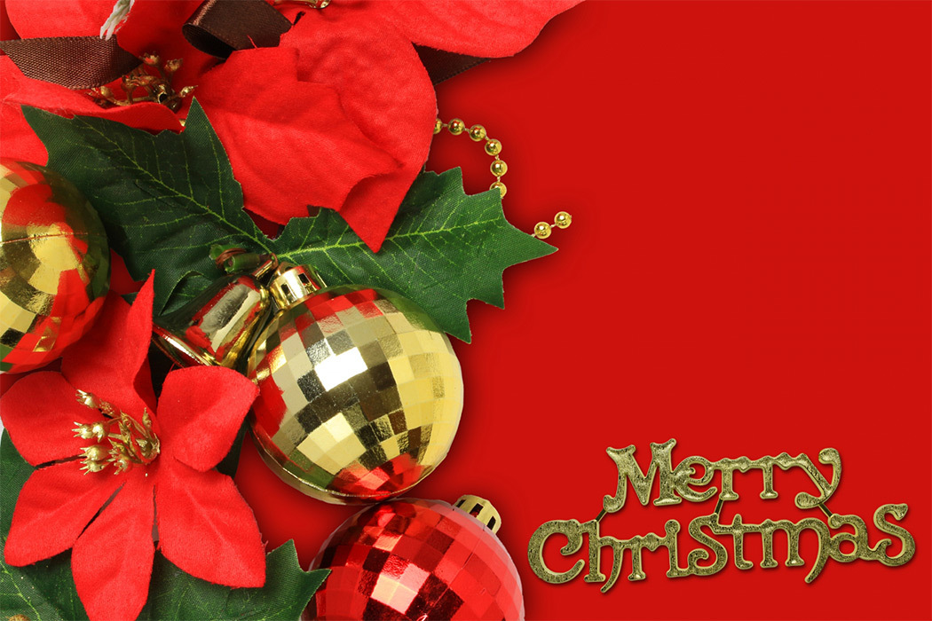 クリスマスカード海外グリーティングカード国際郵便 - 日本郵便