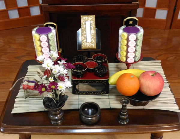 作ろう、祭壇！ ～ダイソーで揃えるキャラクターグッズ収納～青葉乱好きなことの話をしよう