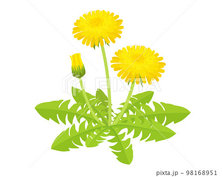 🟦子育て支援センター つぼみ🟦⭐️緊急告知⭐️６月２４日 火「親子で参加！とうもろこし収穫イベント」を開催します🌽✨普段なかなかできない野菜の収穫をお子さんと一緒に 体験してみませんか😊❓ もちろんとうもろこしをお持ち帰りできます🌽１家庭