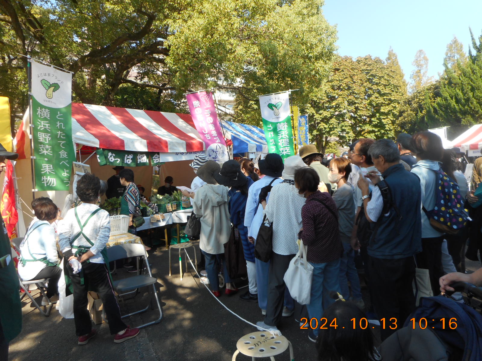 １９６３ 昭和３８ 年：反町公園のゴーカート プレイバックかながわ＜６０年前の９月＞カナロコ by 神奈川新聞