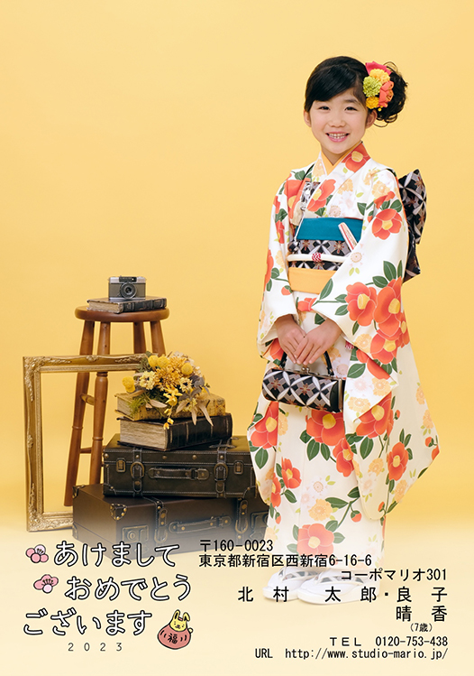 2022年9月～スタジオマリオは年賀状キャンペーンで最安になる理由 - はならっこブログ