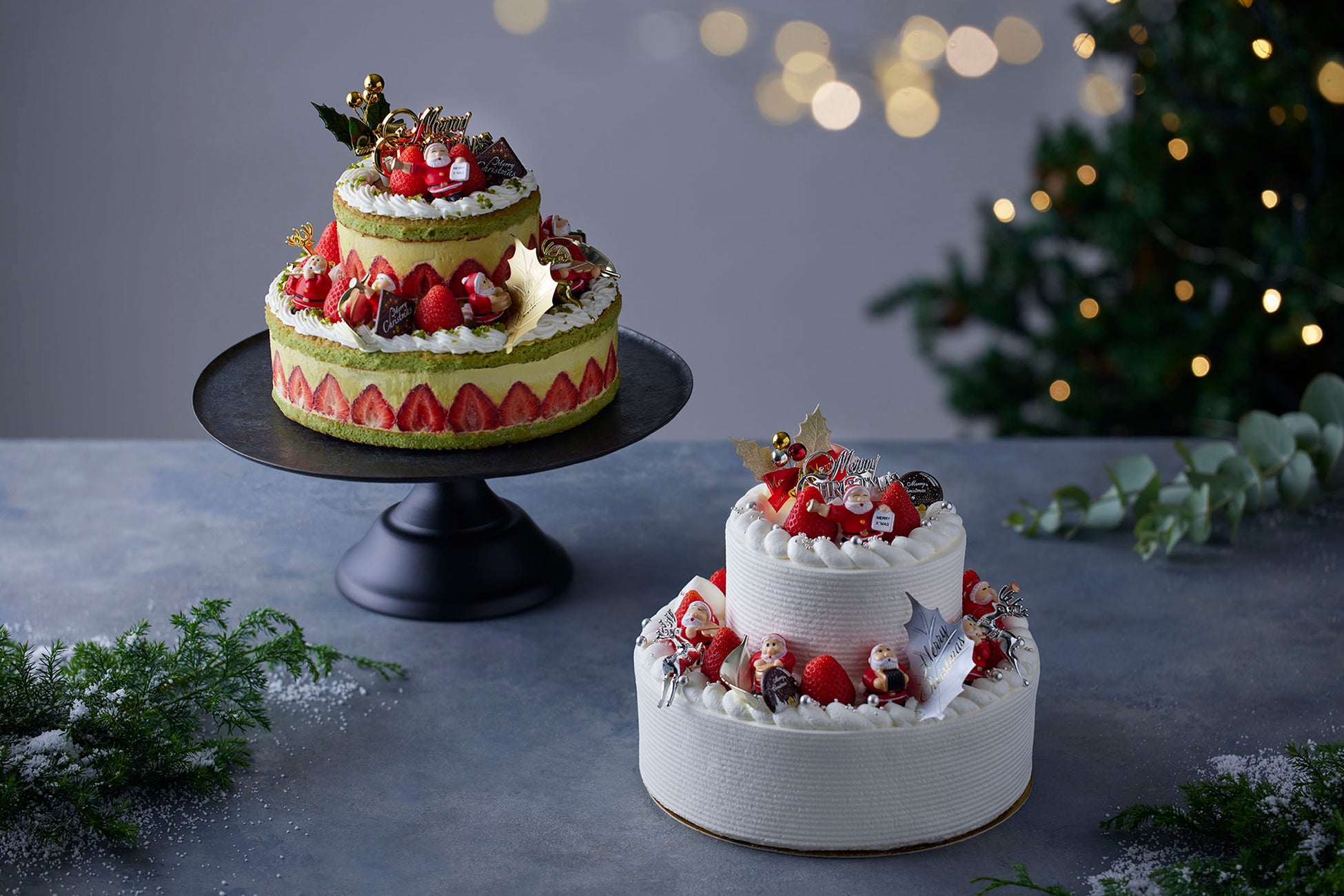 ⠀ ⠀ 3月7日に30歳を迎えた菊池風磨🎈 バースデーサプライズの様子をお届けします🎁happybirthday0307timeleszタイムレス佐藤勝利菊池風磨松島聡寺西拓人原嘉孝橋本将生猪俣周杜篠塚大輝