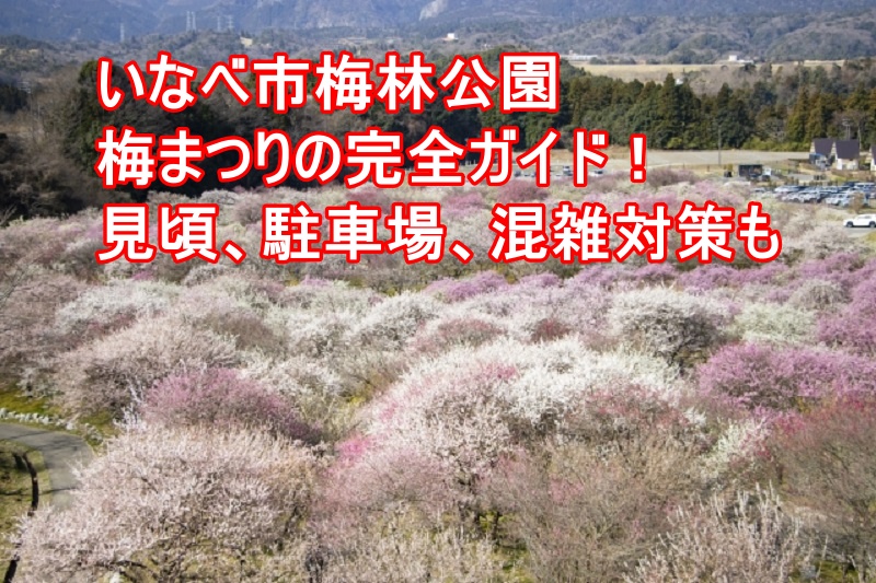 渋滞注意！いなべ市農業公園梅まつりの見頃をスムーズに観光する方法