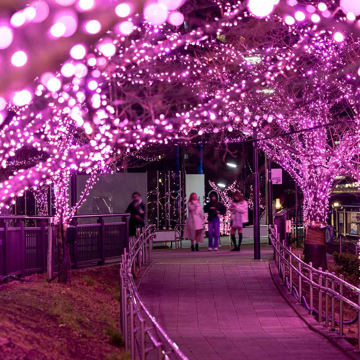 2024 関西のクリスマスマーケットおすすめ6選！大阪や神戸など幅広く紹介