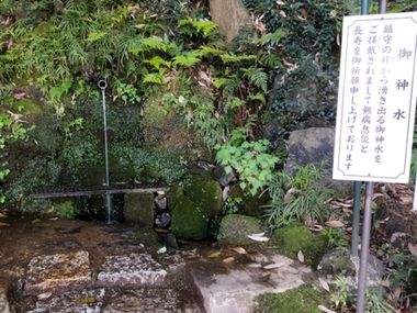 八王子・立川・多摩・昭島・国分寺の初詣スポット一覧