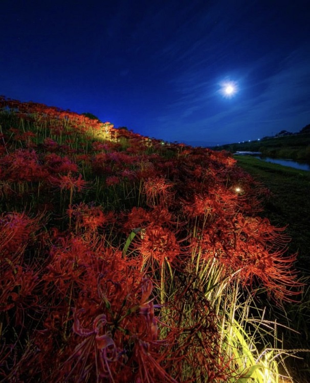 2025福岡・佐賀花火大会 1時間連続の3000発！『宮若納涼花火大会』7 21 宮若市- Yahoo! JAPAN