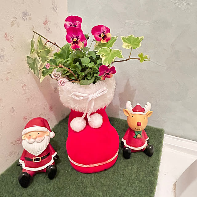 クリスマスにもぴったり!冬の寄せ植え valor-navi バローナビ