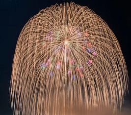 花火 柳イラスト無料イラスト・フリー素材なら「イラストAC」