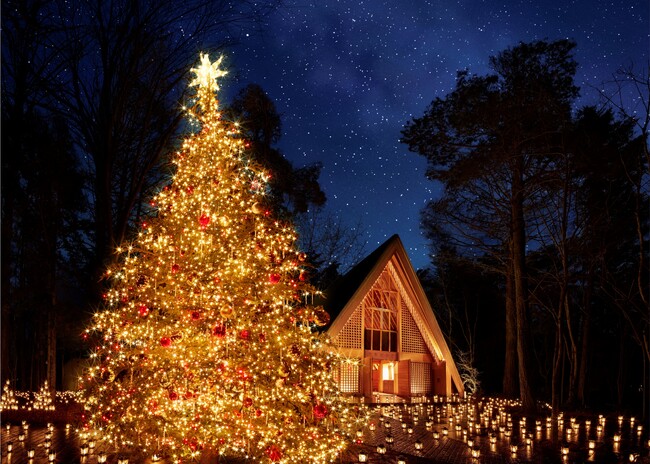 ♪星に願いを - かがやくほしに こころのゆめを〜♪XmasMerryChristmas ディズニーピノキオ