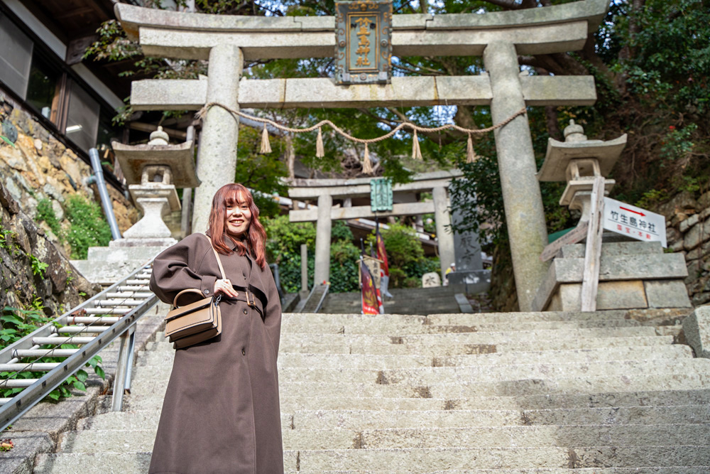 弁財天⑧ 江ノ島詣③滋賀県立文化産業交流会館