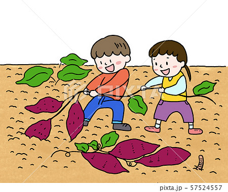いも掘りかわいい無料素材 イラスト工房