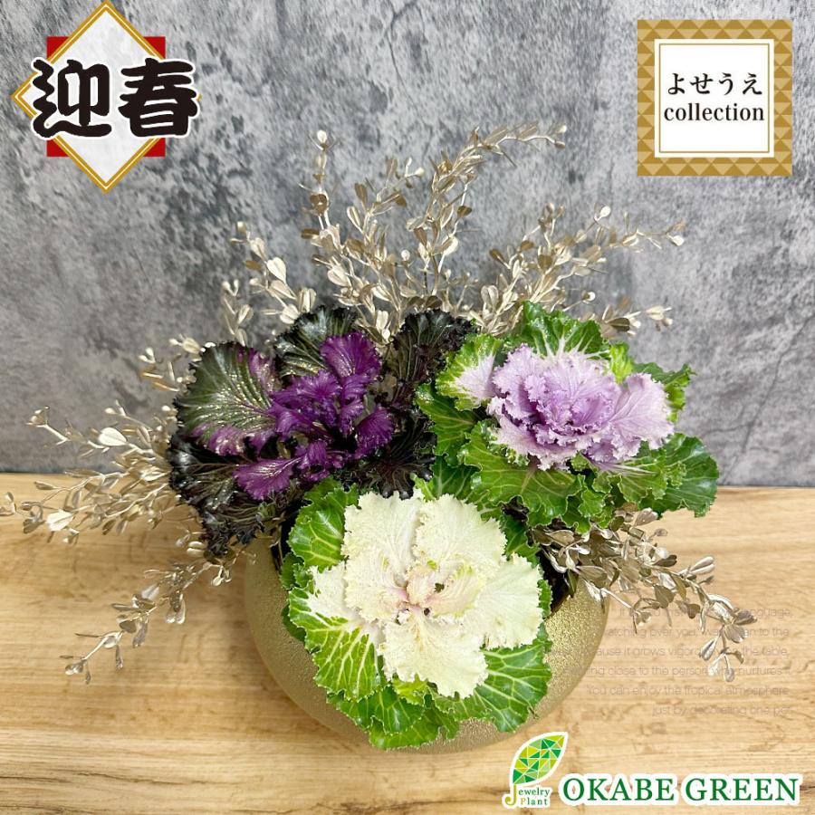 実例５選 玄関に飾りたいお正月に似合うハレの日の寄せ植えGardenStoryガーデンストーリー