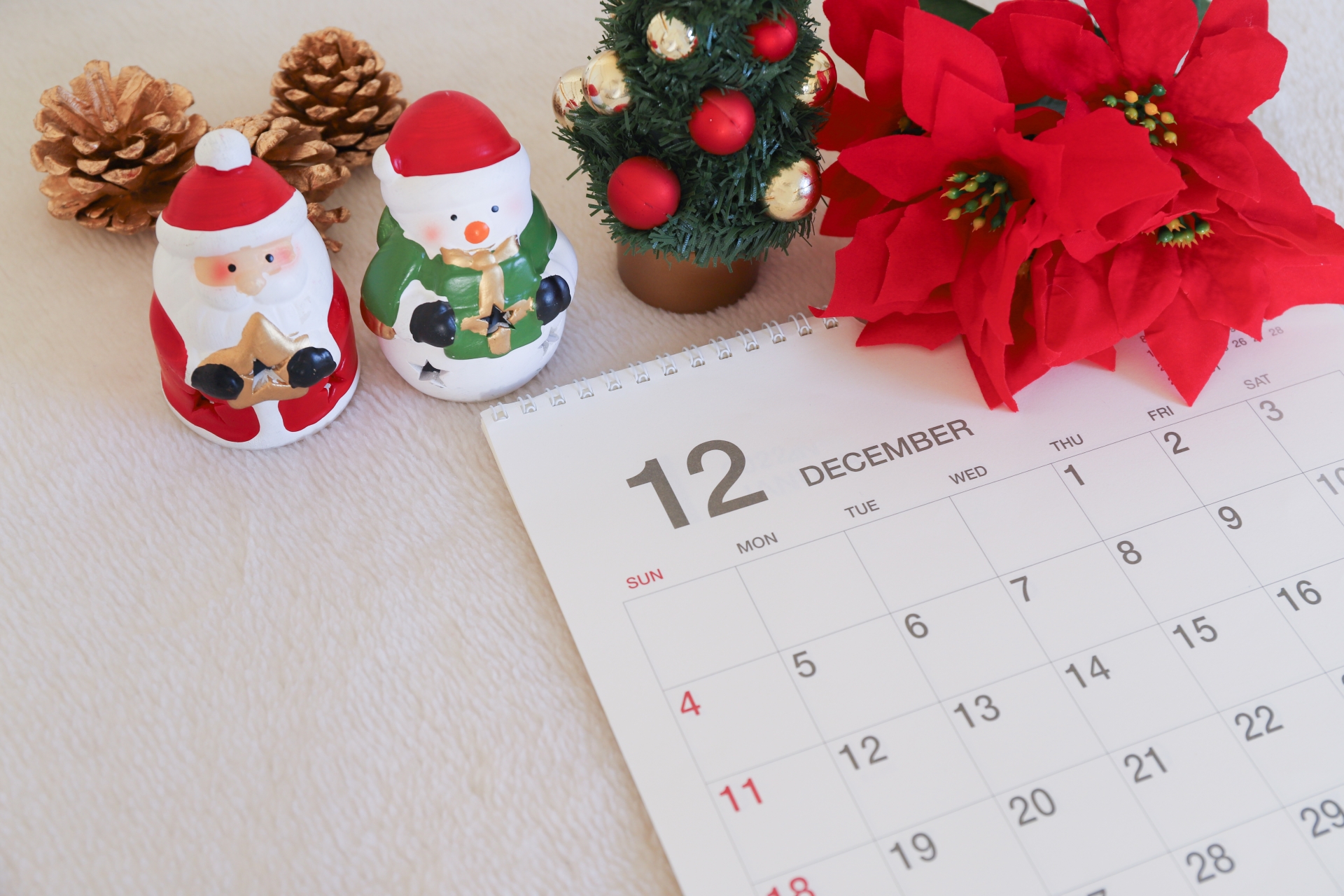 クリスマスツリーは何ゴミで捨てる？おすすめの捨て方と費用相場 - 粗大ゴミ回収本舗